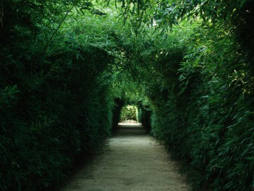 <span>The Labyrinth of Franco Maria Ricci</span><i>→</i>